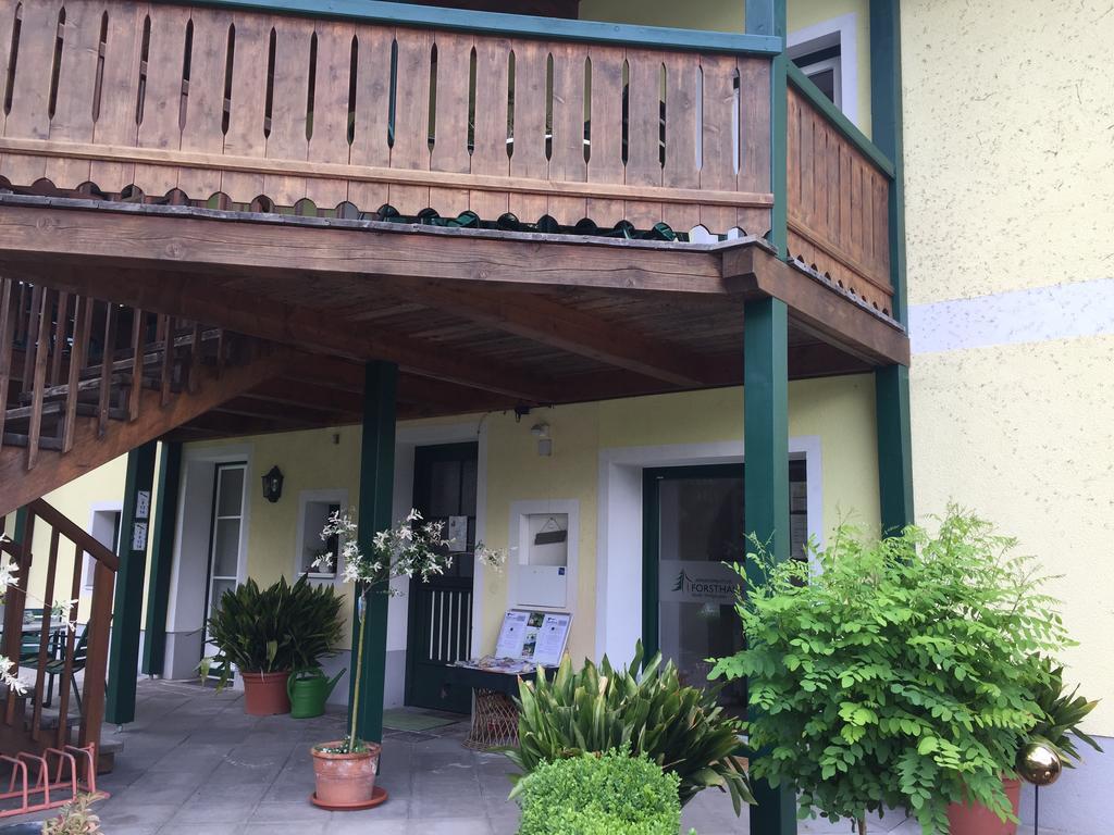 Appartements Im Forsthaus Штробль Экстерьер фото